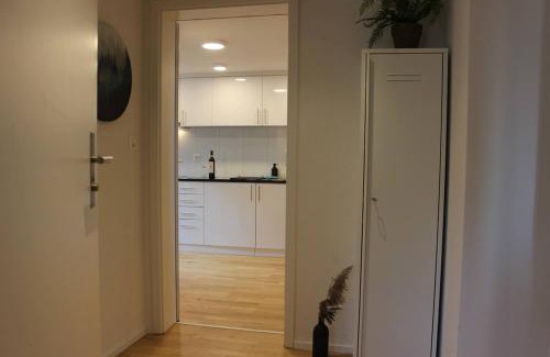 St. Gallen Apartment | Modern Apartment Near Train Station and City Center