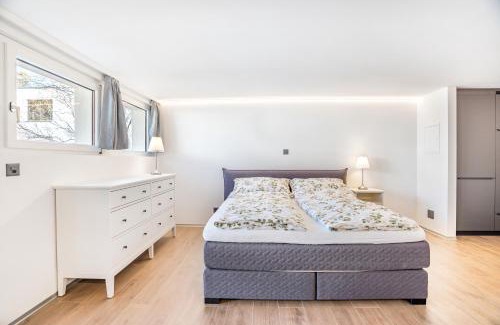 Visp Apartment | Completely renovated, furnished studio with plenty of comfort