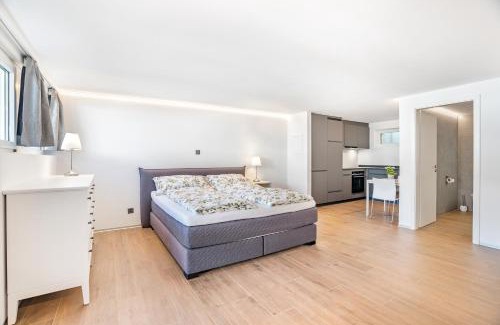 Visp Apartment | Completely renovated, furnished studio with plenty of comfort