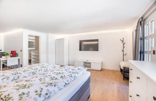 Visp Apartment | Completely renovated, furnished studio with plenty of comfort