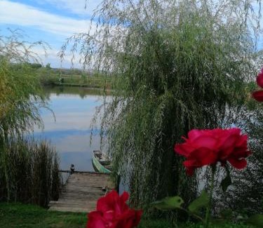 Ocna Mures Resort | Family-Friendly Escape at Complex Agrement Bellavi
