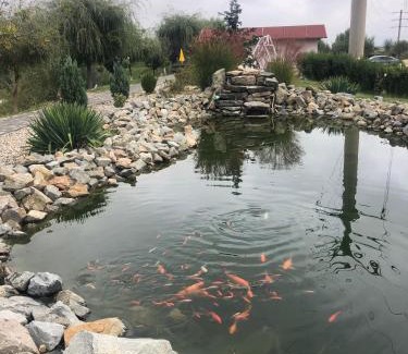Ocna Mures Resort | Family-Friendly Escape at Complex Agrement Bellavi