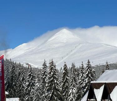 Ranca Resort | Scenic Complex Panoramic: Pet-Friendly Getaway with Dining