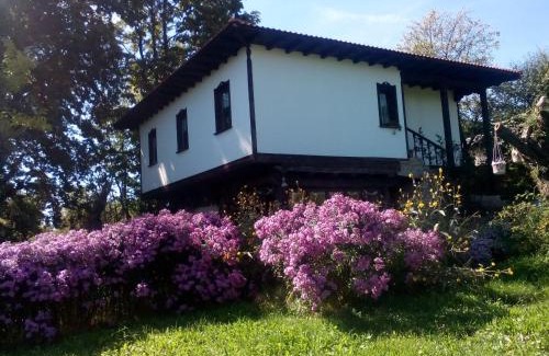 Vlaychovtsi House | Relaxing Stay at Complex Roden Kray with Ocean Views