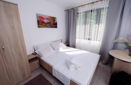 Baile Herculane House | Budget-Friendly Complex Stoican: Child-Friendly Retreat
