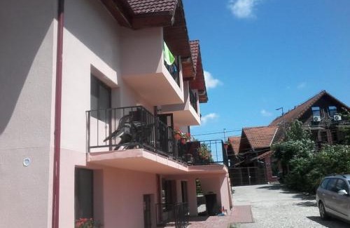 Ocna Sibiului Cabin | Pet-Friendly Retreat at Complex Turistic Ocna Sibiului