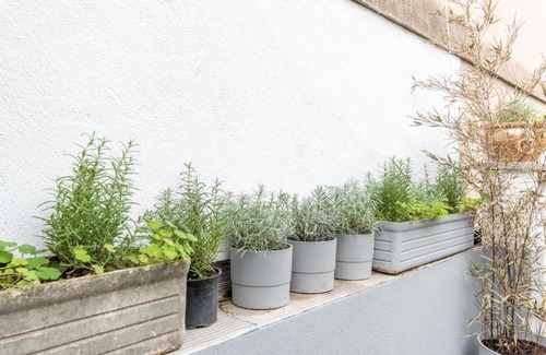 4th Arrondissement House | Pet-Friendly Oceanfront MaisonMars with Breakfast & Parking