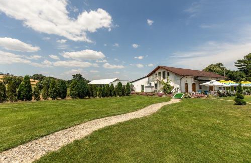 Racaciuni Resort | Pet-Friendly Retreat at Conacul Buzdugan, Rated 9.3/10