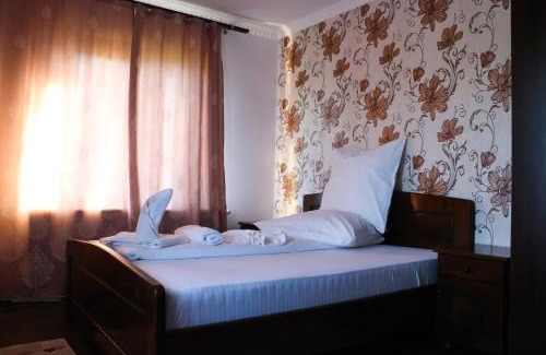 Ocna Sugatag House | Discover Conacul Lupilor: Pet-Friendly Stay with Breakfast