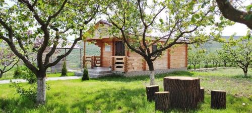 Moldova House | Explore Conacul Mierii: Pet-Friendly Retreat with Top Reviews