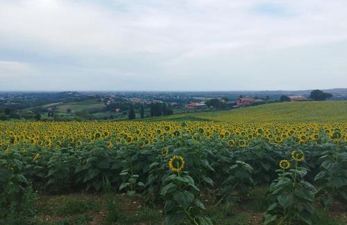 Poggio Berni House | Conchiglia D'oro