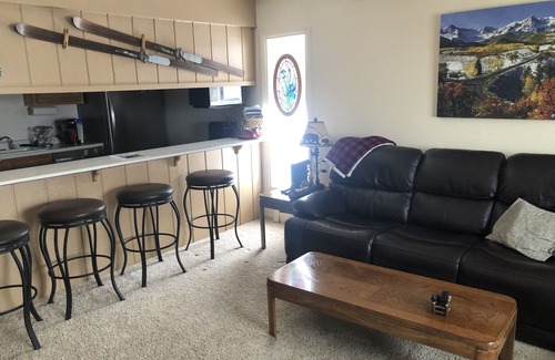 Fraser Condo | Pet-Friendly Condo in Fraser: Perfect for Music Festivals