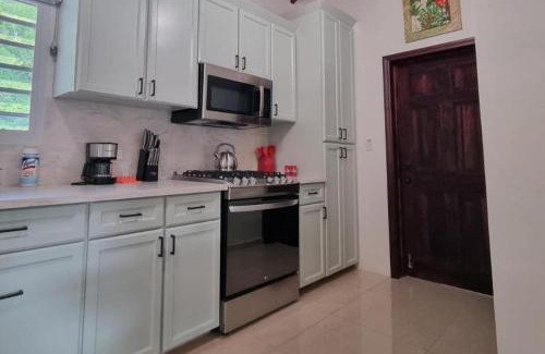 Philipsburg Apartment | Condo with Pool - Sleeps 8 & bbq facilities