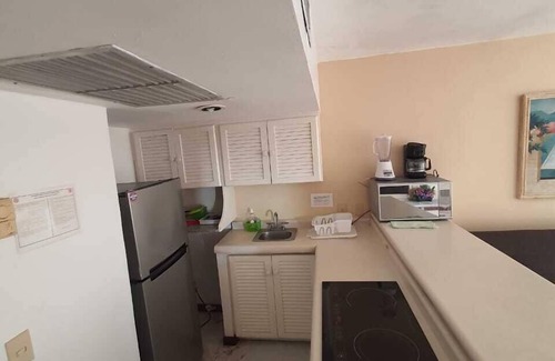 Ixtapa Apartment | Oceanfront Retreat: Enna Inn Ixtapa with Pool & Spa