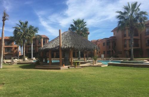 San Carlos Apartment | Experience Bahia Delfin: Oceanfront & Pet-Friendly Retreat
