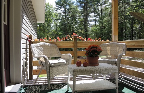 Otego Apartment | Newly Built Cone's Cottage Near All Star Village with Fire Pit