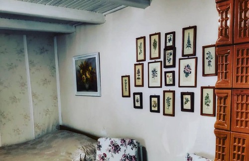 Constanta County Bed & Breakfast | Reconnect with Nature Close to the Forest Retreat