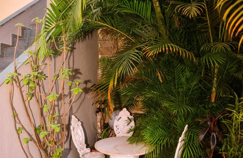 Sao Paulo House | Pet-Friendly Casa in Vila Madalena Near Metro Access
