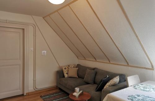 Mulhouse Apartment | Cozy Apartments in France: Family and Pet Friendly Retreats