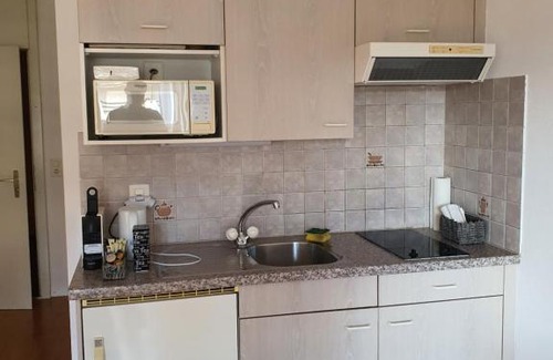 Vionnaz Apartment | Cozy Independent Studio at the Doors of the Sun