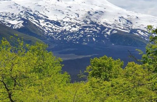 Melipeuco Ski Chalet | Conguillio Lava Cave