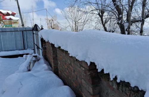 Srinagar House | Conifer view guest house