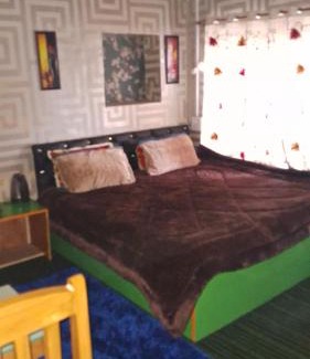 Srinagar House | Conifer view guest house