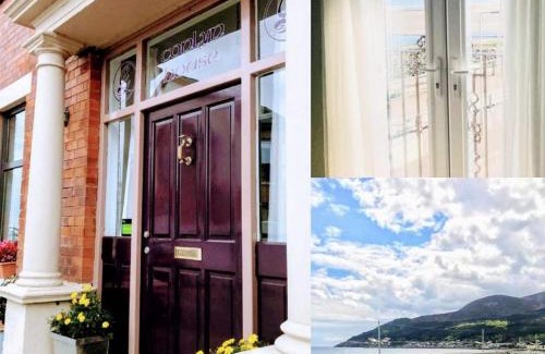 Newcastle Bed & Breakfast | Conlyn House: Oceanfront Retreat with 9/10 Guest Rating