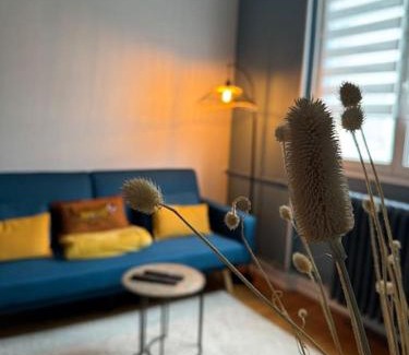 Jouvence Apartment | Discover Suit 21: Family-Friendly Apartment in Dijon Centre
