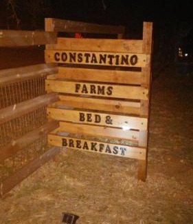 Dublin House | Pet-Friendly Stay at Constantino Farms – 5-Star Comfort!