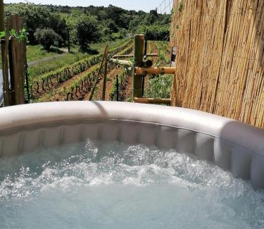 Massillargues-Attuech Apartment | Inviting Conteneur with Vine Views - Rated 8.1/10 by Guests