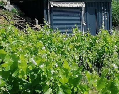 Massillargues-Attuech Apartment | Inviting Conteneur with Vine Views - Rated 8.1/10 by Guests