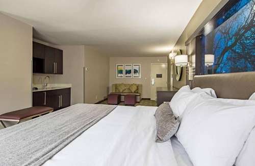 Clemson Hotel | Prime Location Stay near Downtown Pendleton for Business Trips