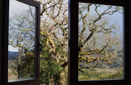 Heligan House | Exclusive Barn Retreat with Private Indoor Swimming Pool