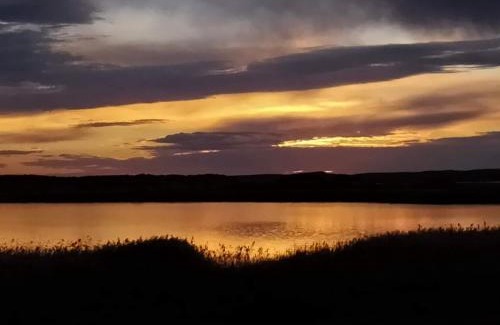 Bonney House | Relaxing Coorong Island Retreat - Pet-Friendly Farm Stay