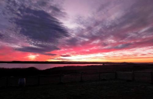 Bonney House | Relaxing Coorong Island Retreat - Pet-Friendly Farm Stay