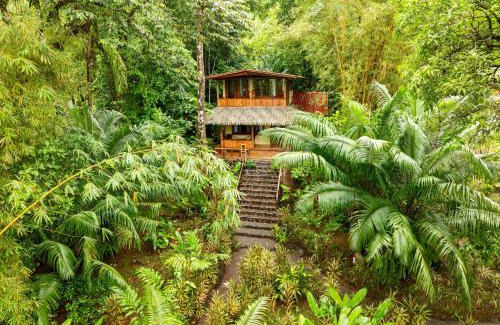 Drake Bay Resort | Beachfront Bliss at Copa De Arbol Resort - Rated 9/10