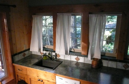Ashford Cabin | Cozy Copper Creek Inn: Family-Friendly Stay at Mt Rainier