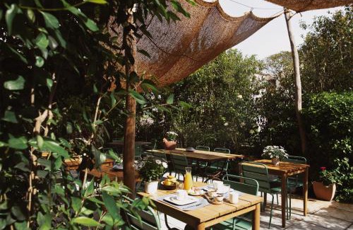 Cogolin Hotel | Coq Hotel: Pet-Friendly Oceanfront Retreat with Breakfast