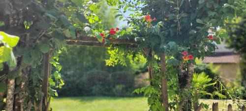 Saint-Julien-de-Lampon Apartment | Discover Coquelicots Dordogne: Pet-Friendly & Oceanfront Stay