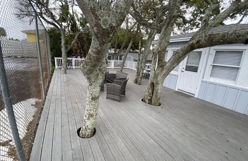 Vilano Beach Cottage | Oceanfront Coquina Cottage: Guest Rated 10/10 on Vilano Beach