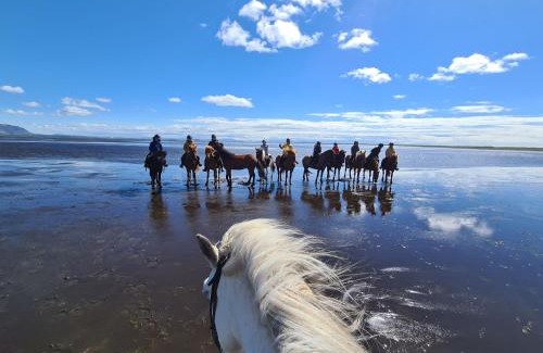 Sveitarfelagid Olfus House | Inviting Cora's House & Horses: Rated 9/10 with Family Amenities