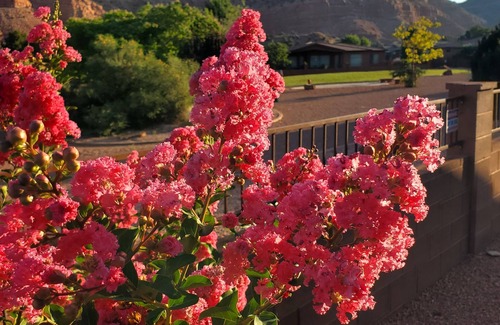 Kanab House | Serene Coral Cliff View: Spectacular Vistas in Kanabs