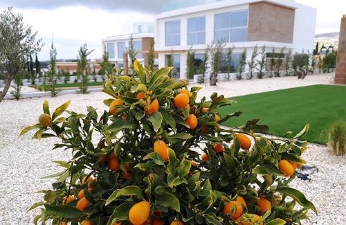 Peyia Town House | Private Pool Retreat for 8 in Scenic Peyia, Cyprus