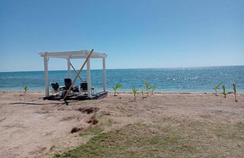 Coral Harbour Apartment | Relax at Coral Harbour Beach Apartment with Oceanfront Views