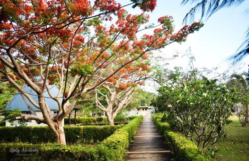 Tavewa Island Hotel | Oceanfront Bliss at Coralview Island Resort with Private Beach