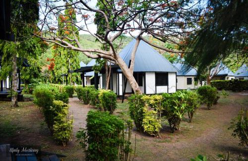 Tavewa Island Hotel | Oceanfront Bliss at Coralview Island Resort with Private Beach