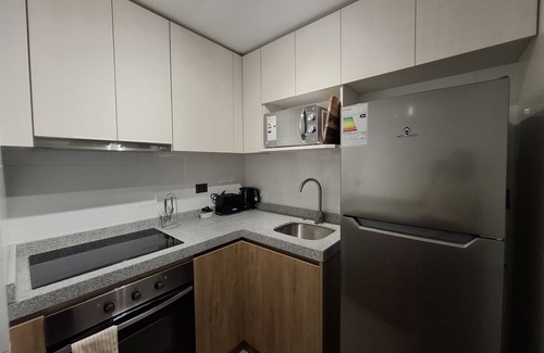 Concepcion Apartment | šCorazón de Concepción | Modern Ground Floor Apartment