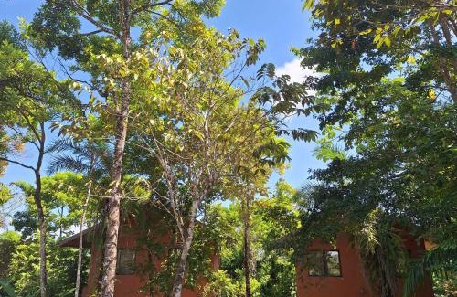 Puerto Jimenez House | Serene Paradise Corcovado House & Villas with Pool & Hot Tub