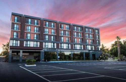 Seongsan Hotel | Discover Cordelia Hotel: Oceanfront Bliss with Family Amenities